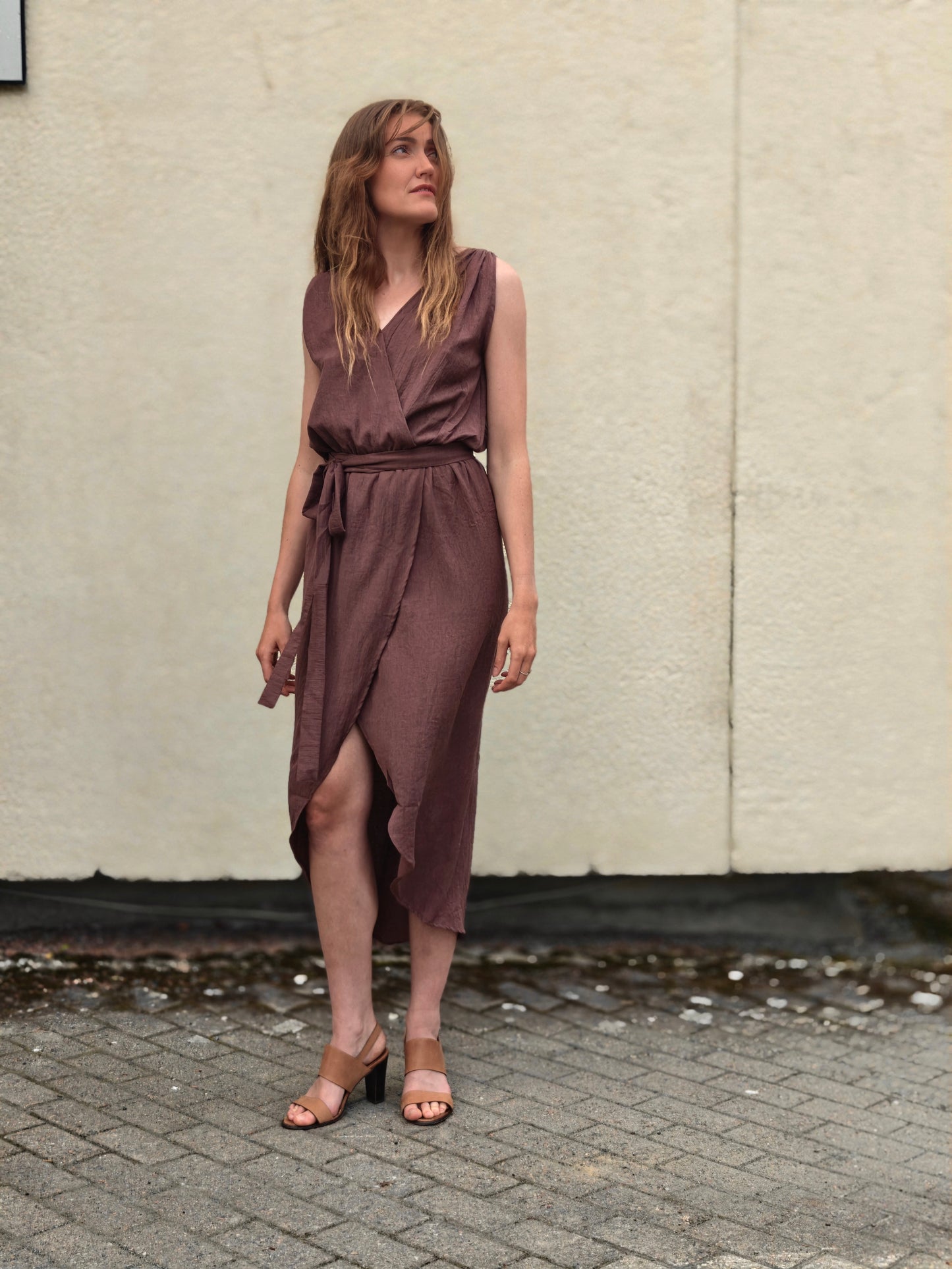 The Maranola Dress Aubergine Viscose