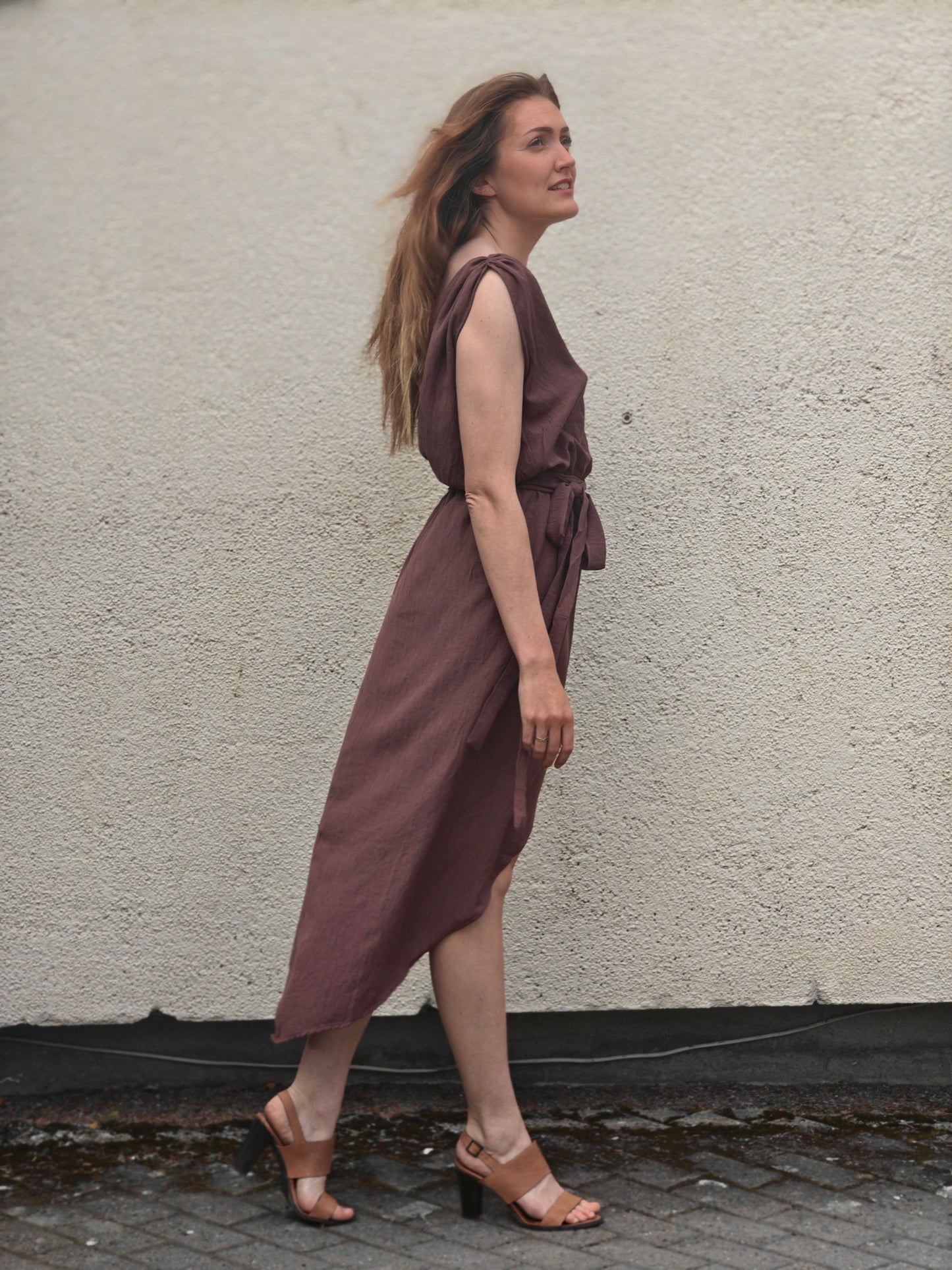 The Maranola Dress Aubergine Viscose